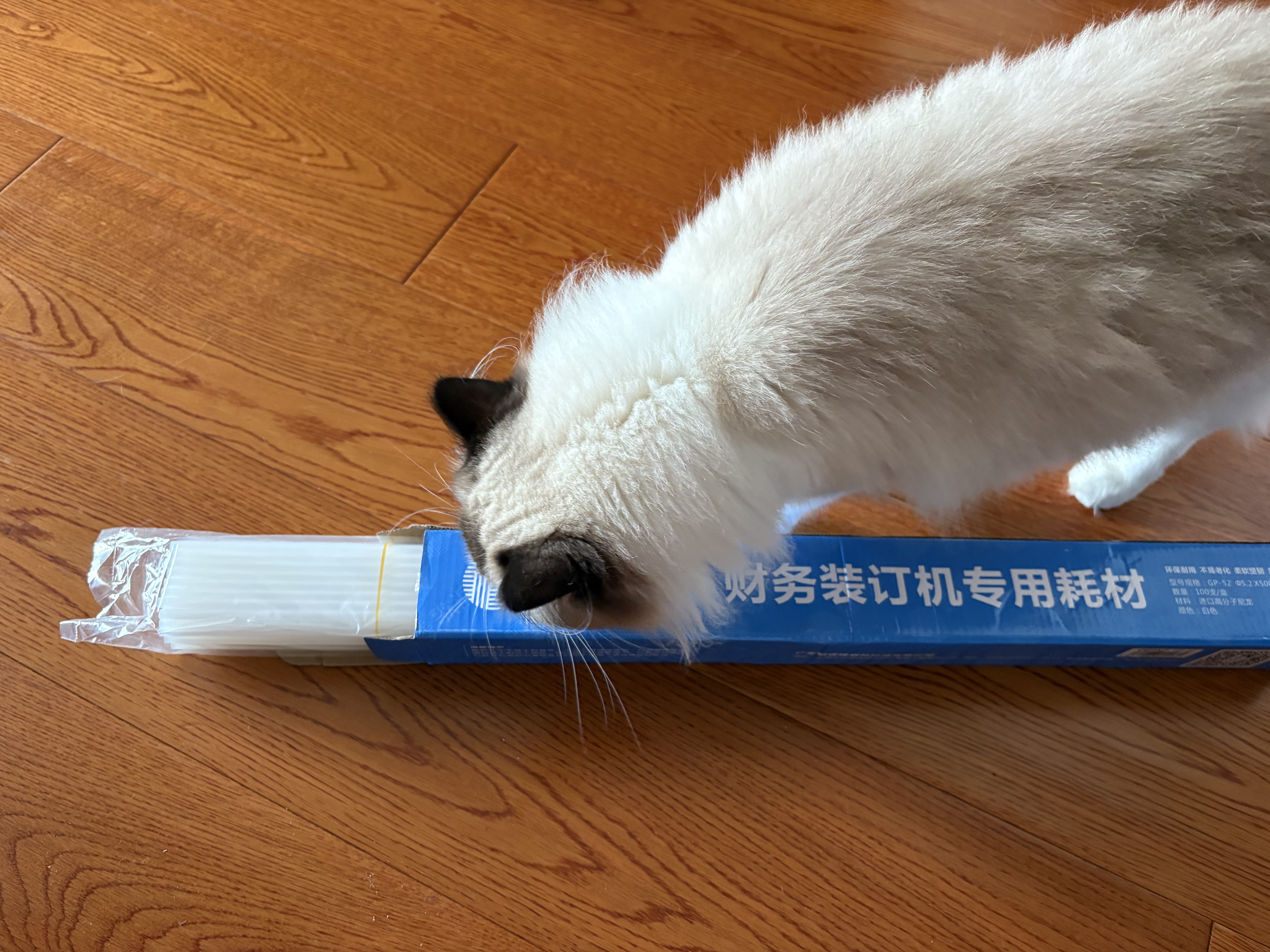 歌派（GEPAD）财务凭证装订机铆管Φ5.2*500mm 100支/盒装 实拍图