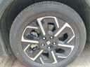 玲珑轮胎汽车轮胎215/60R17 96H 绿行GREEN-Max HP010 A/S 适配逍客 实拍图