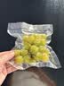 京东京造 真空封口机2.0 塑封机真空袋压缩食品接触级包装机封口【干湿通用】专利可拆卸设计 实拍图
