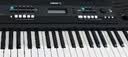 雅马哈（YAMAHA）(YAMAHA) PSR- F52儿童成人通用零基础初学入门娱乐演奏电子琴 实拍图