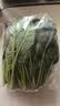 【24小时菜】菠菜苗250g(长度≤20cm) 实拍图