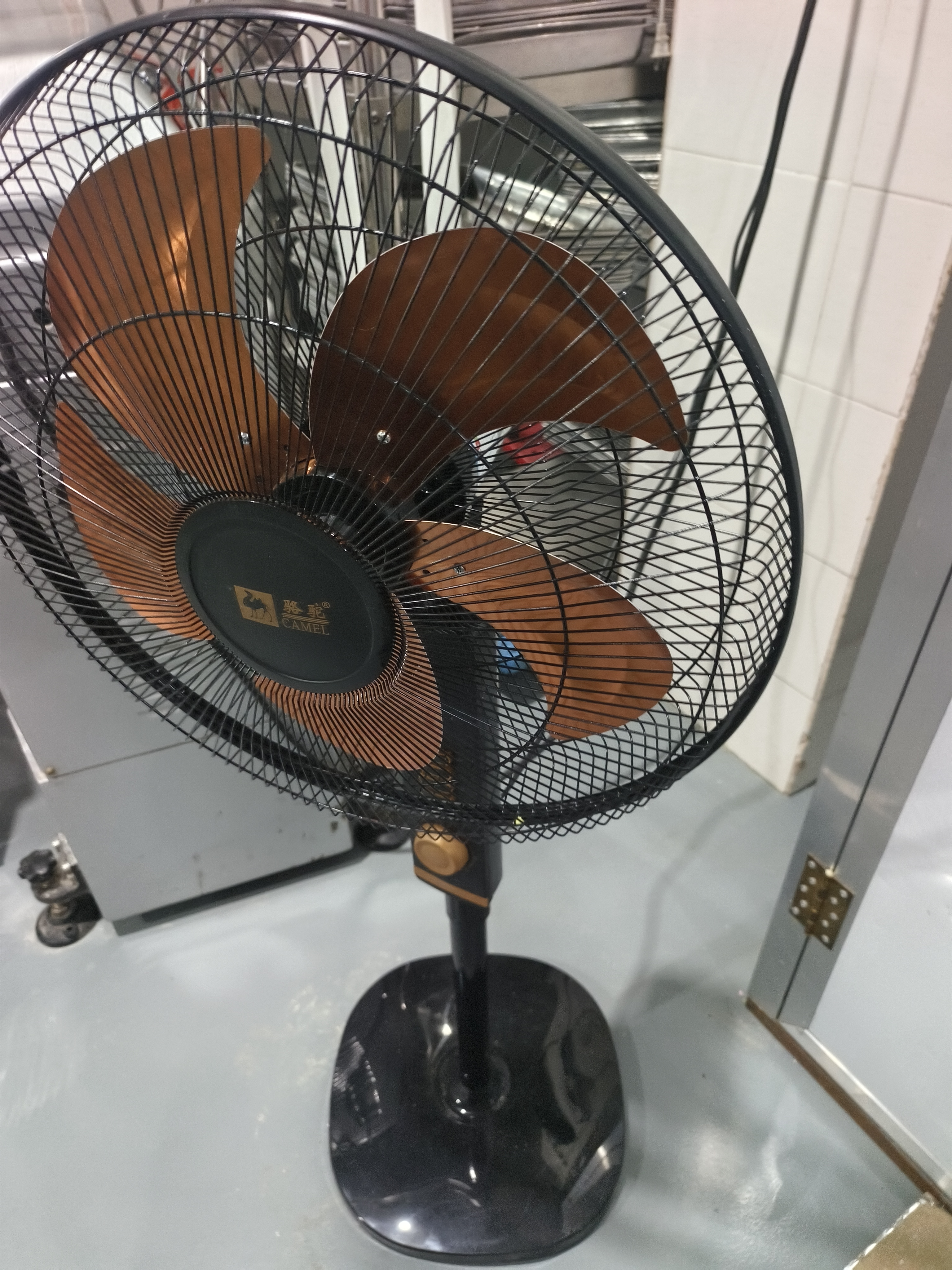 骆驼电风扇家用落地扇大风力轻音节能省电扇摇头机械定时台立两用办公室宿舍卧室工业电扇 20英寸机械款【铝叶】-定时-重底盘 实拍图