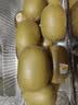 佳沛（zespri）新西兰金奇异果10个装单果重103-114g猕猴桃中秋节礼品送水果礼盒 实拍图