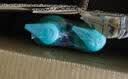 飘柔滋润去屑金榜洗发水男士女士洗发露液洗头膏套装500g*2柔顺 实拍图