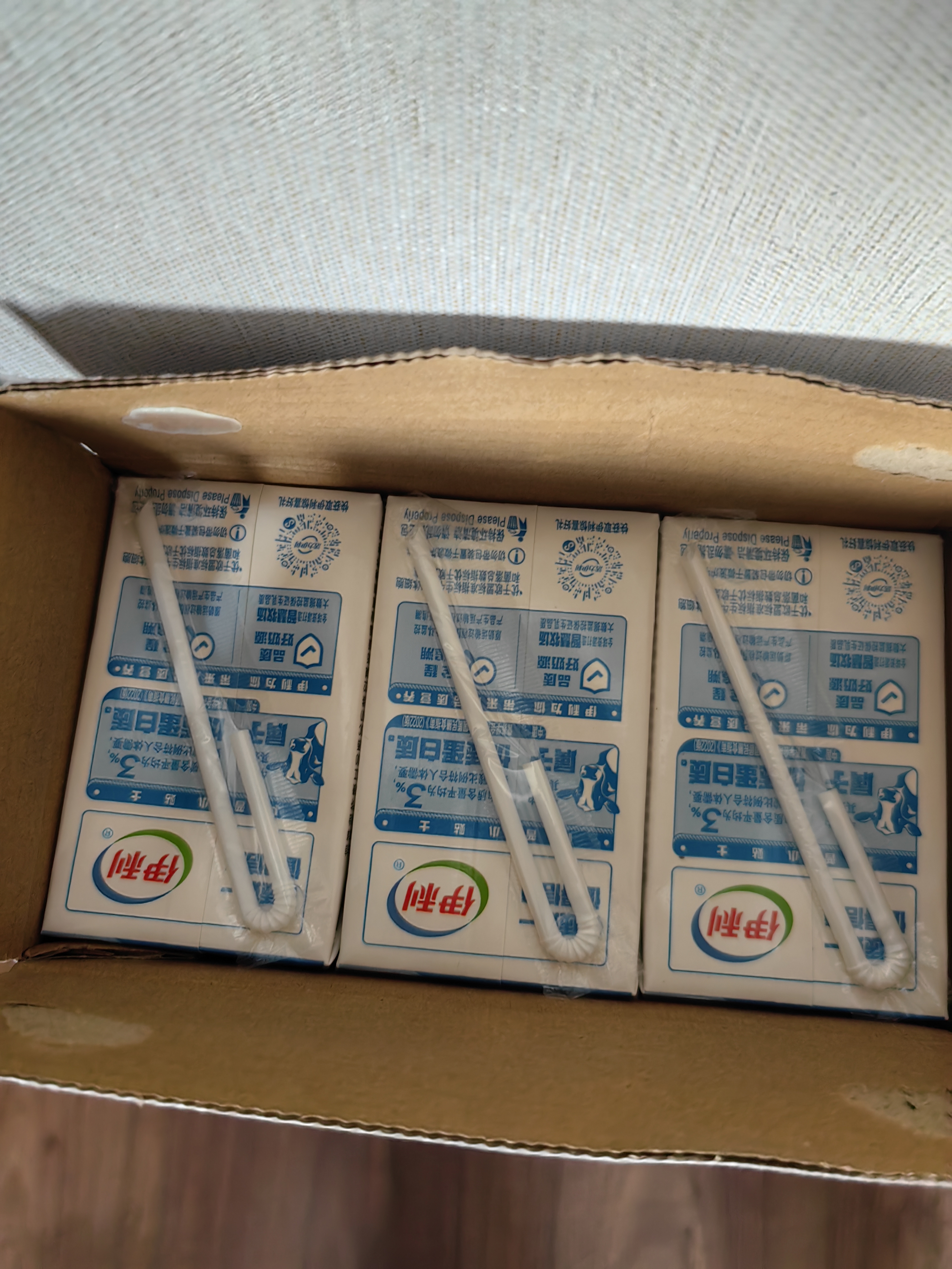 伊利【新鲜日期】纯牛奶250ml*21盒优质乳蛋白早餐奶中秋礼品7月产 实拍图