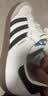 阿迪达斯 adidas三叶草  samba T头鞋运动鞋男女休闲鞋B75806 38 实拍图