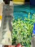 珀莱雅小球藻面膜补水保湿海藻补水玻尿酸面膜生日礼物 实拍图