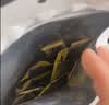 科尔沁手撕风干牛肉干原味500g量贩装 内蒙特产肉干肉脯休闲解馋零食 实拍图