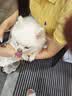 enabotEBO SE全屋移动监控摄像头 ebo智能远程老人小孩AI陪伴宠物监控机器人【64G内存】 实拍图