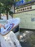 双星八特田径鞋训练鞋男跑步鞋中考专用体考鞋国货复古帆布鞋时尚小白鞋 新体考鞋 43 实拍图