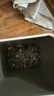 碧潭飘雪茉莉花茶 峨眉山茶特级50g 爆款小蓝罐花茶 35008 实拍图