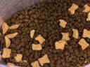 麦富迪猫粮 barf霸弗天然猫粮冻干成猫粮养胃增肌牛肉1.8kg【宠物金选】 实拍图