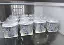 卡士（CLASSY.KISS）全程冷链 3.3g原味鲜酪乳100g*18杯  低温酸奶 源头直发 实拍图