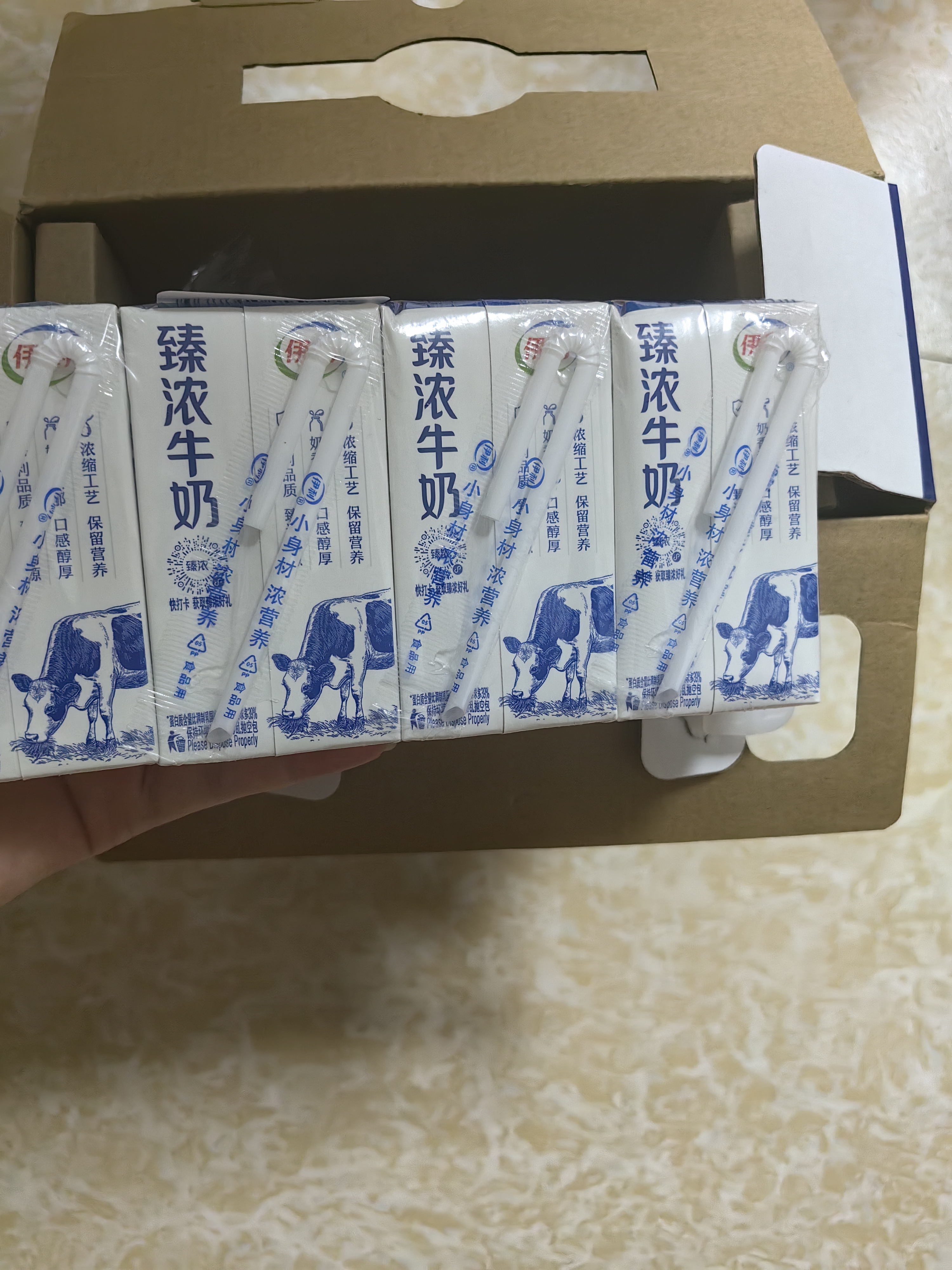 伊利臻浓牛奶 mini版臻浓125ml*20盒 咖啡搭档 中秋礼品礼盒装 实拍图