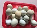 农家生态绿壳生鲜鲜鸡蛋鲜鸡蛋乌鸡蛋糖心蛋超市红心早餐30g/枚 父母营养绿壳土鸡蛋30枚/箱 实拍图