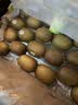 佳沛（zespri）新西兰金奇异果22粒巨大原箱146-175g猕猴桃中秋节礼品送水果礼盒 实拍图