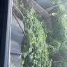 雨虹防水可外露水性沥青涂料 防水涂料屋顶 屋面防水补漏材料 黑色2KG 实拍图
