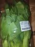 上海青约500g(油菜) 实拍图
