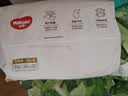 好奇（Huggies）铂金装小桃裤纸尿裤XL96片(12-17kg)加大号尿不湿【夏季散热王】 实拍图