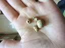缪色（MiU Se）星月菩提老籽三通佛塔小葫芦吊坠DIY小金刚佛珠文玩手串配饰套装 三通10*12MM+佛塔约8MM A22-104 实拍图