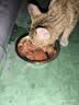 力狼（LILANG）宠物猫粮幼猫成猫零食猫湿粮猫咪猫罐头 金枪鱼+银鱼170g*12罐 实拍图