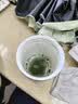 九宇杭州径山抹茶国标一级纯抹茶粉罐装50g烘焙咖啡拿铁奶茶冲饮甜品 实拍图