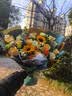 艾斯维娜教师节鲜花速递向日葵混搭花束生日礼物全国同城配送 向日葵香槟韩式花束 实拍图