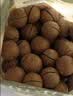 三只松鼠京觅联名夏威夷果1000g24-26mm儿童每日坚果炒货休闲零食团购送礼 实拍图