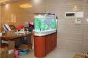 喜灏子弹头鱼缸水族箱客厅家用中型大型1.2米屏风隔断免换水鞋柜鱼缸 包到家安装 长0.8米单缸-顶滤 实拍图