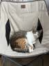皇家猫粮 成猫猫粮 营养均衡 F32 通用粮 1-7岁 4.5kg*2 实拍图