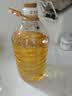 金龙鱼 食用油 压榨 不油腻轻年葵花籽油4L（新老包装随机发货） 实拍图