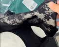 美·雅·挺女士内裤女高腰保暖加绒加厚纯棉裆抑菌收腹护腰秋冬三角短裤 2XL 实拍图
