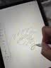 Apple/苹果 Pencil(第二代) 磁吸触控笔手写笔苹果笔电容笔书写绘画iPad笔 适用iPad Air(第五代) 实拍图