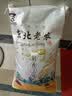 东北老农当季新米 稻香2号大米 25kg 珍珠米 粳米 50斤家庭装 囤货批发 实拍图