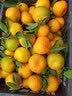 京鲜生湖北宜昌青皮蜜桔 净重4.5斤 单果60mm+中秋水果 源头直发包邮 实拍图