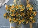 多特思金饭碗猫罐头68g湿猫粮零食美毛强体猫主食罐 【试吃装】羊奶炖鸡口味1罐 实拍图