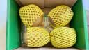 佳沛（zespri）新西兰金奇异果4粒103-114g猕猴桃源头直发中秋节礼品送水果礼盒 实拍图