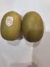 佳沛（zespri）新西兰金奇异果10粒巨大果146-175g猕猴桃中秋节礼品送水果礼盒 实拍图