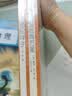 骆驼祥子+海底两万里 初一七年级下必读套装全两册 初中名著阅读课外书目 正版原著完整无删减 人民文学出版社 开学季 实拍图