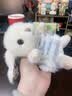 伽百利gabriel兔子玩偶毛绒玩偶毛绒玩具娃娃生日礼物女士女孩儿童玩具 小卢米-海蓝宝-15cm 默认送礼袋 实拍图
