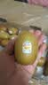 佳沛（zespri）金奇异果25-27粒原箱特大果124-146g猕猴桃中秋节礼品送水果礼盒 实拍图