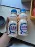 乳酸菌益生菌风味饮料乳酸菌饮品340ml/瓶早餐酸奶好喝 益生菌340ml*2瓶 实拍图