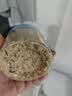 小鹿蓝蓝海苔肉松哆哆80g 儿童零食宝宝儿童肉松拌饭拌面料鲜猪肉调味佐餐 实拍图