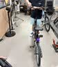 大行（DAHON）D6折叠自行车20英寸6速成人休闲单车 KBC061 墨绿色 20英寸 实拍图