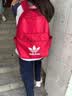 adidas休闲日常通勤运动双肩背包学生书包开学男女阿迪达斯三叶草   胜利红   NS(均码) 实拍图
