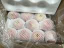 佳农烟台红富士苹果 净重10斤 一级果 单果重160g+ 中秋水果源头直发 实拍图