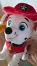 汪汪队立大功（PAW PATROL）毛绒玩具狗狗陪睡玩偶经典款毛毛站姿公仔男女孩圣诞礼物 实拍图