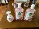 滴露（Dettol）衣物消毒液自然香氛1L*2+泡沫洗手液花香型250ml 草莓熊联名 实拍图