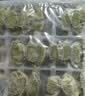 三全 儿童水饺虾仁胡萝卜口味300g 实拍图