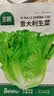 北蔬 意大利生菜种子苗四季速生阳台种菜籽 意大利生菜种子3g约1800粒 实拍图